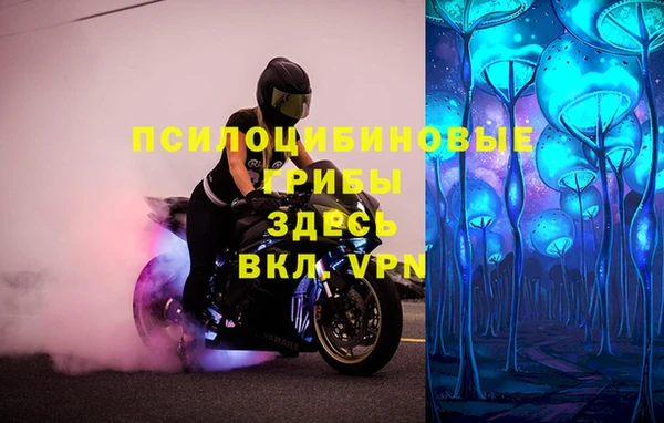 СК Нягань