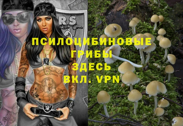 COCAINE Няндома