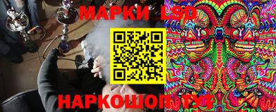 прущие крисы Камышлов