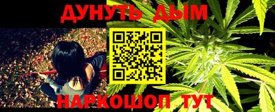 индика Кинель