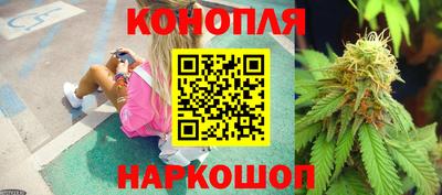 индика Кинель