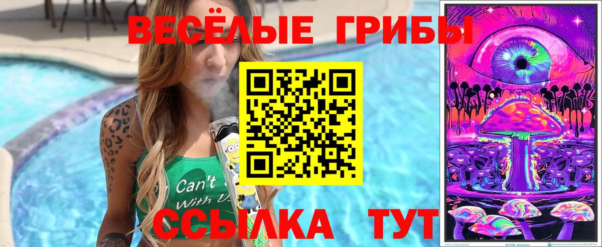 Галлюциногенные грибы Psilocybe  Вход с VPN  сколько стоит  Соликамск 